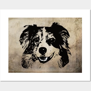 Australian Shepherd Posters and Art